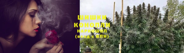 дурь Рославль
