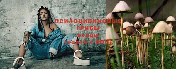 ешки Алзамай