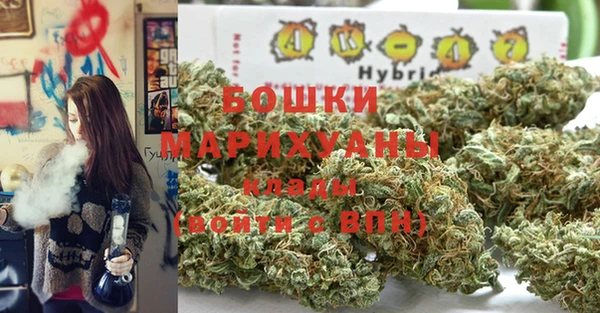 ешки Алзамай