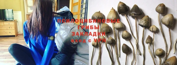 ешки Алзамай
