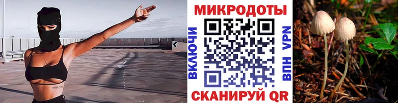 Псилоцибиновые грибы мухоморы  Котово 